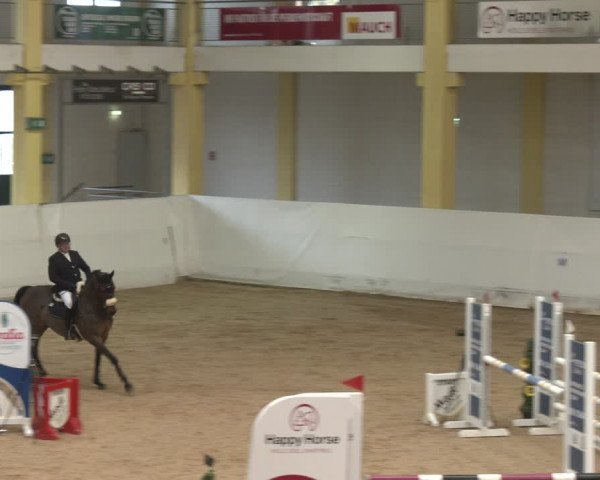 Reitturnier Stadl-Paura 2024
