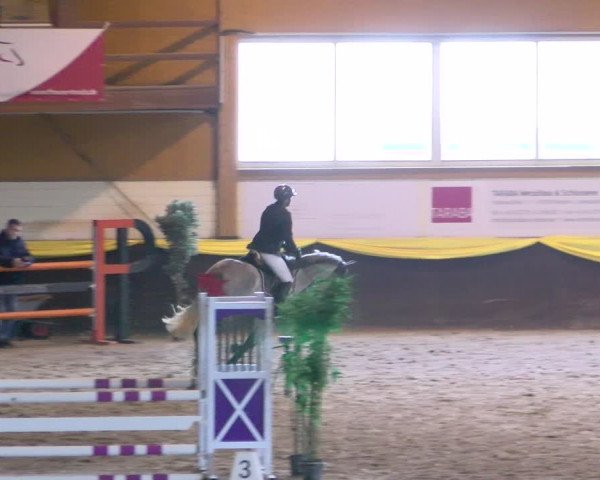 Reitturnier Sauldorf-Boll 2024