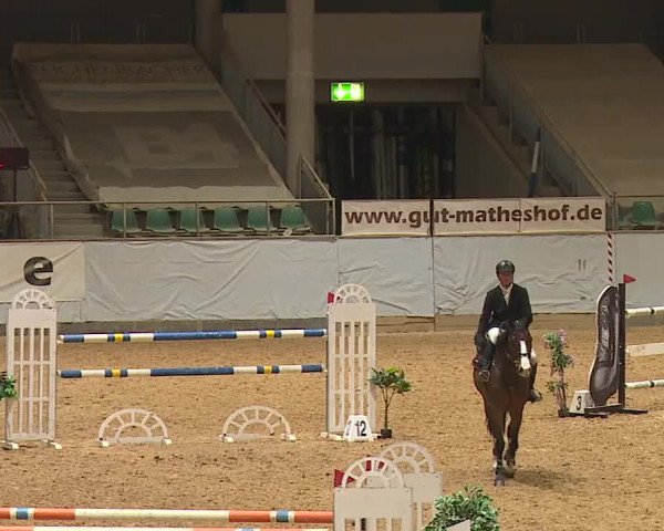 Reitturnier Kreuth/Opf. 2024
