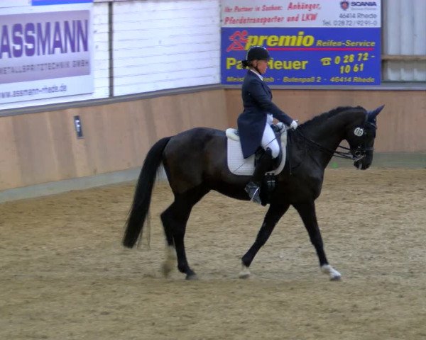 Reitturnier Rhede 2024