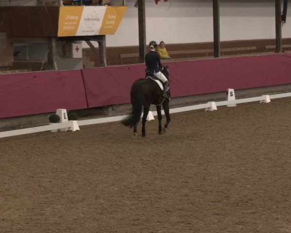 Reitturnier Vlotho-Exter 2024