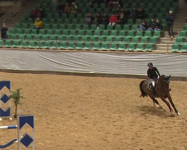 Reitturnier Kreuth/Opf. 2024