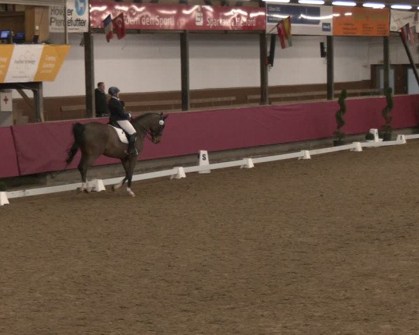 Reitturnier Vlotho-Exter 2024
