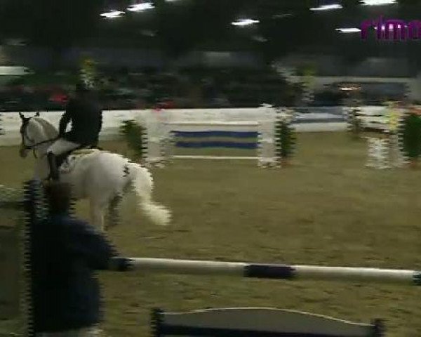 Borken 2011