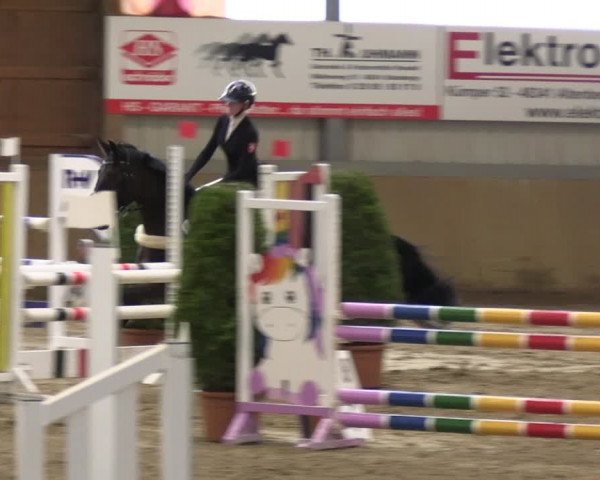 Reitturnier Altenberge 2024