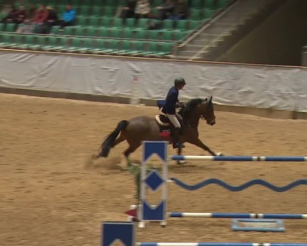 Reitturnier Kreuth/Opf. 2024