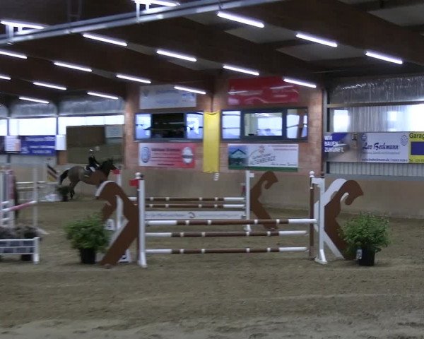 Reitturnier Altenberge 2024
