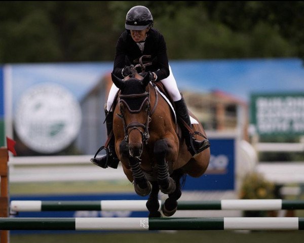 Zuchtstute Gcs Athena (Irish Sport Horse, 2014, von Vigo d'Arsouilles)