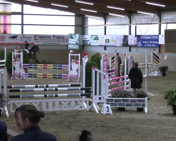 Reitturnier Altenberge 2024