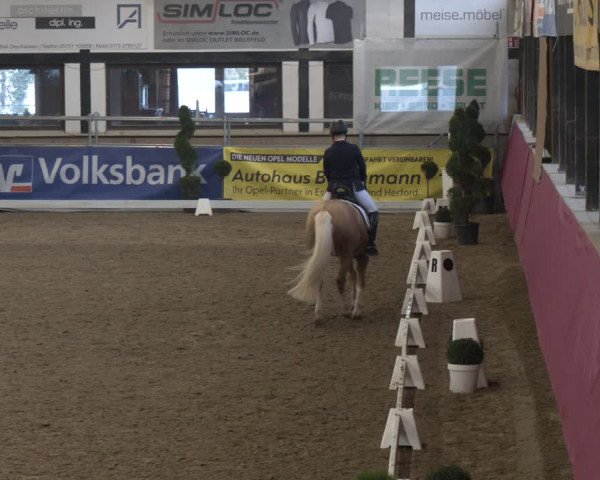 Reitturnier Vlotho-Exter 2024