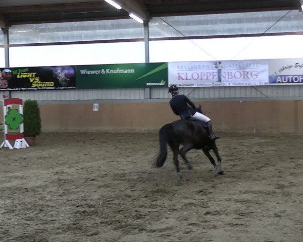 Reitturnier Altenberge 2024