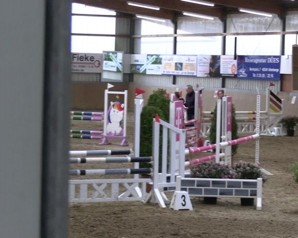 Reitturnier Altenberge 2024