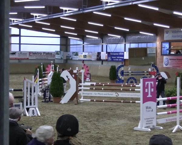 Reitturnier Altenberge 2024