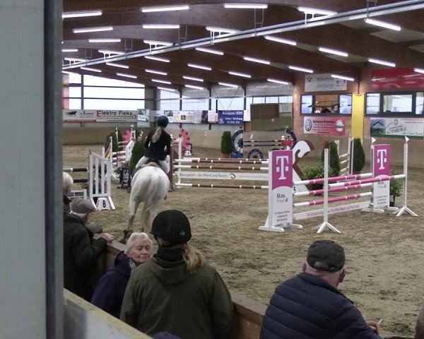 Reitturnier Altenberge 2024