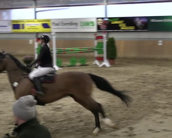Reitturnier Altenberge 2024