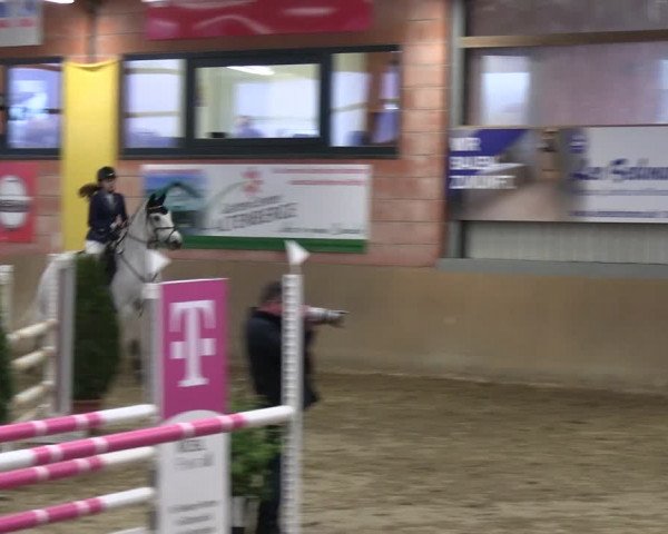 Reitturnier Altenberge 2024