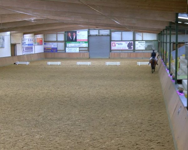 Reitturnier Rhede 2024