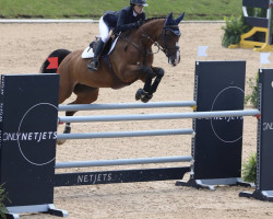 jumper Heaven Vh Bloemenhof Z (Belgian Warmblood, 2009, from Hardrock Z)