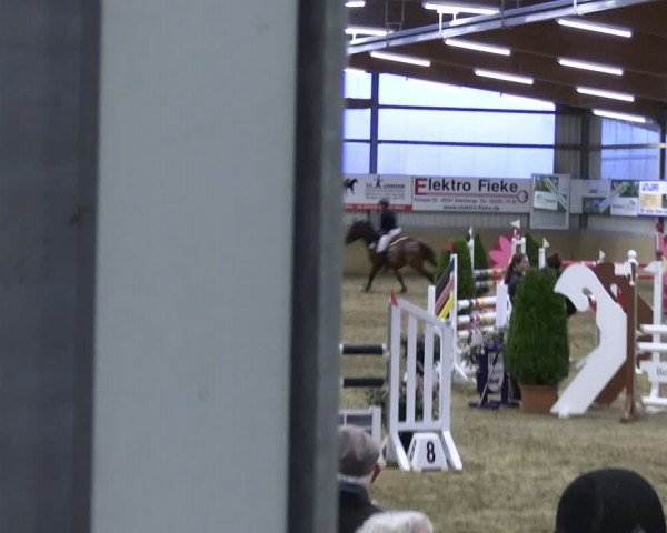 Reitturnier Altenberge 2024
