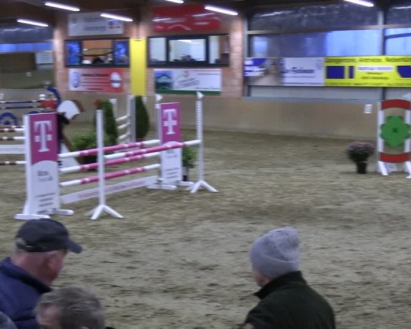 Reitturnier Altenberge 2024