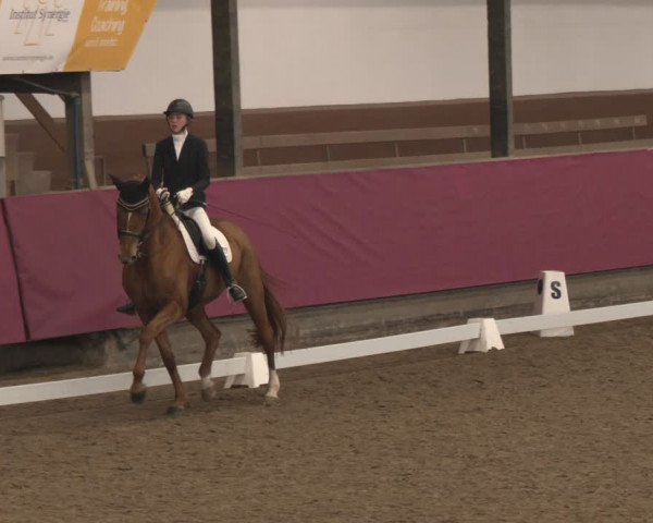 Reitturnier Vlotho-Exter 2024