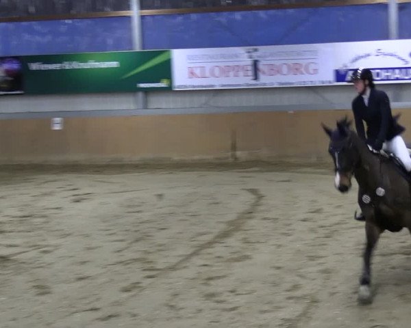 Reitturnier Altenberge 2024