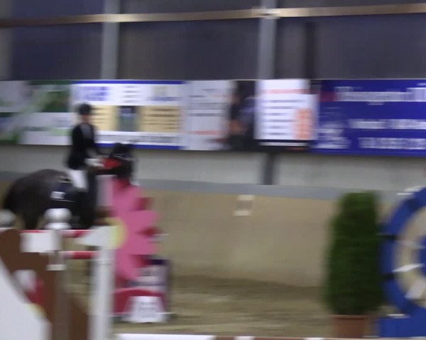 Reitturnier Altenberge 2024