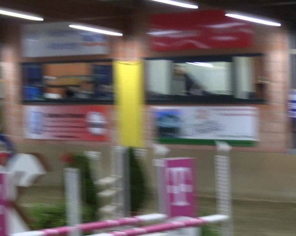 Reitturnier Altenberge 2024