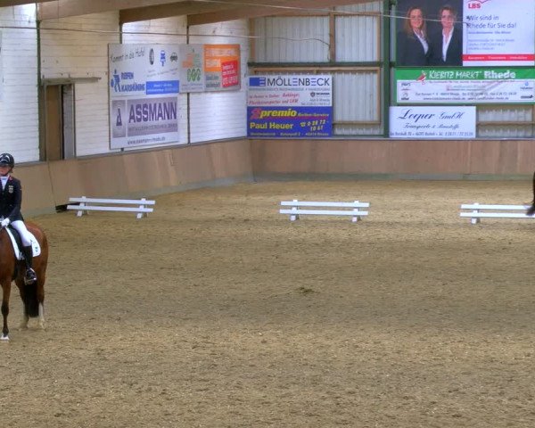 Reitturnier Rhede 2024