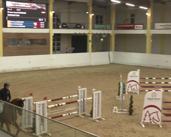 Reitturnier Stadl-Paura 2024