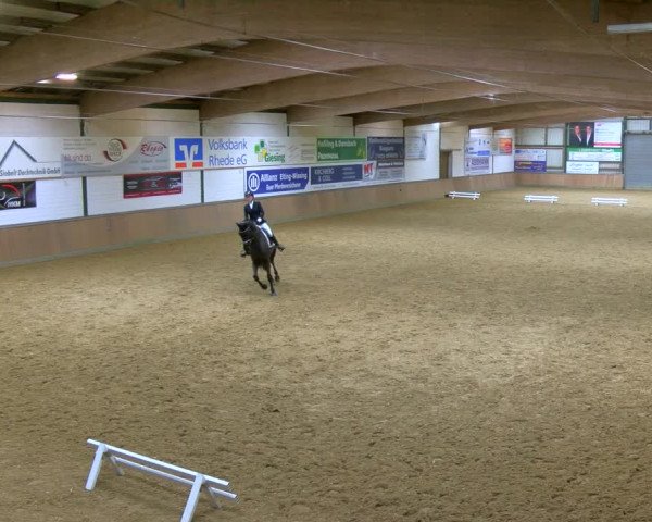 Reitturnier Rhede 2024