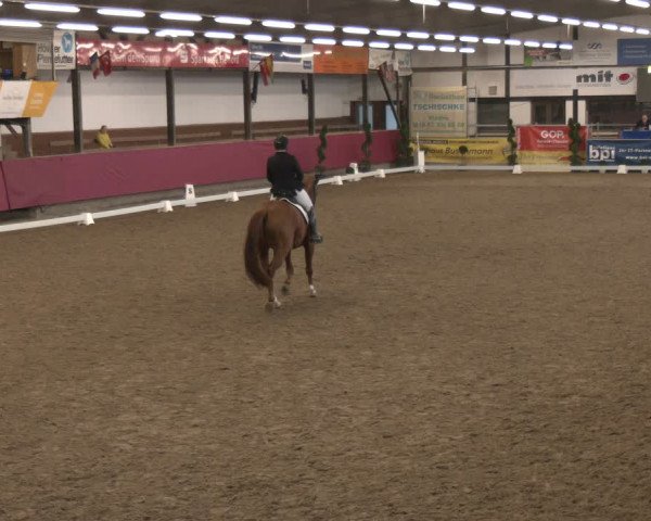 Reitturnier Vlotho-Exter 2024