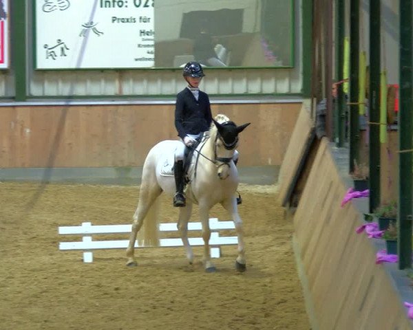 Reitturnier Rhede 2024