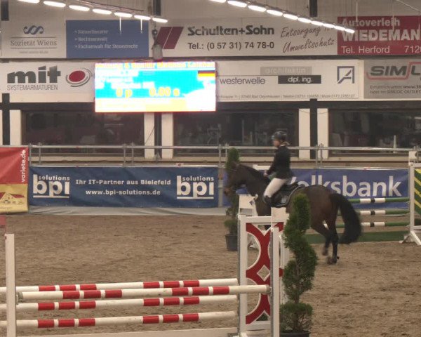 Reitturnier Vlotho-Exter 2024