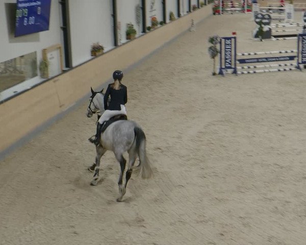 Reitturnier Borken 2024