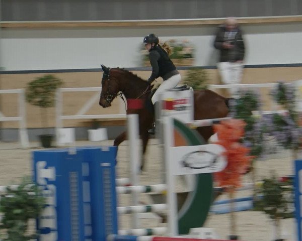 Reitturnier Borken 2024