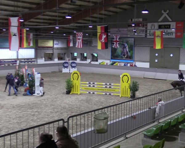 Reitturnier Luhmühlen 2024