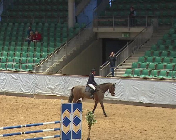 Reitturnier Kreuth/Opf. 2024