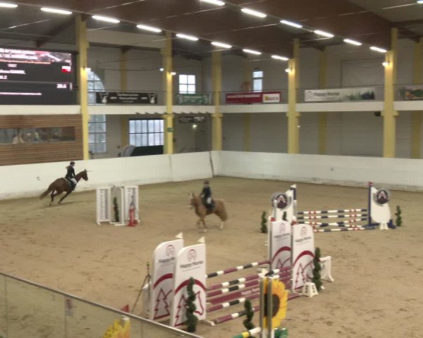 Reitturnier Stadl-Paura 2024