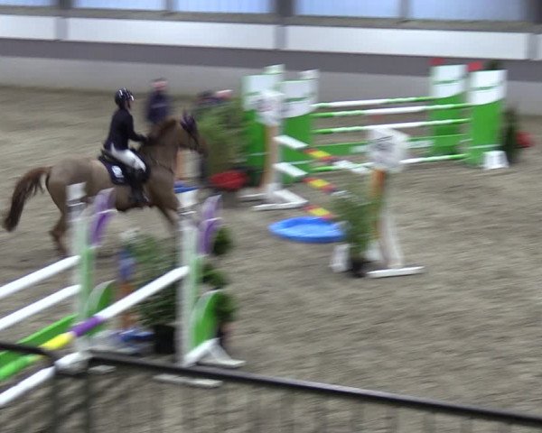 Reitturnier Luhmühlen 2024