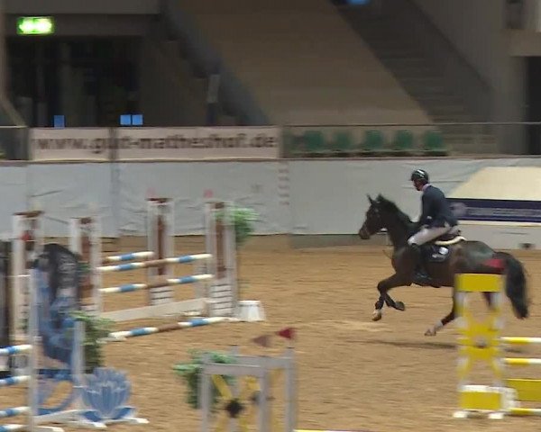Reitturnier Kreuth/Opf. 2024