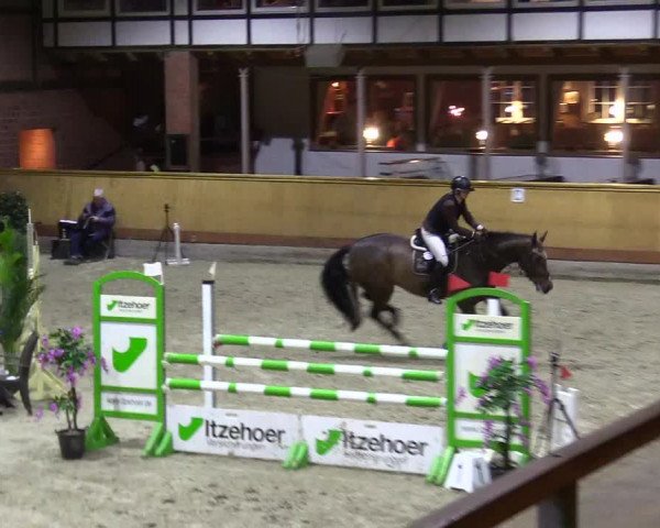 Reitturnier Hamburg-Friedrichshulde/Sylva Kuhrt 2024