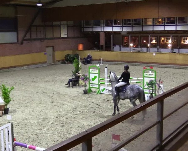 Reitturnier Hamburg-Friedrichshulde/Sylva Kuhrt 2024