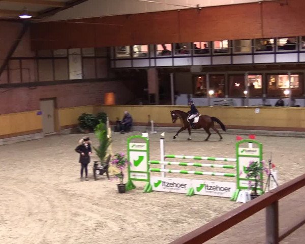 Reitturnier Hamburg-Friedrichshulde/Sylva Kuhrt 2024