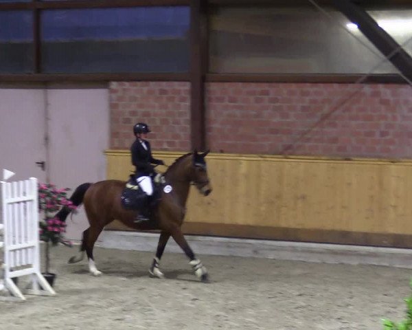 Reitturnier Hamburg-Friedrichshulde/Sylva Kuhrt 2024