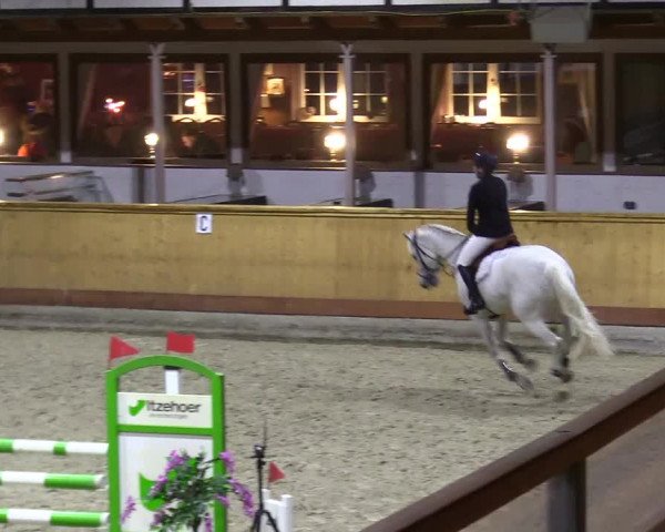 Reitturnier Hamburg-Friedrichshulde/Sylva Kuhrt 2024