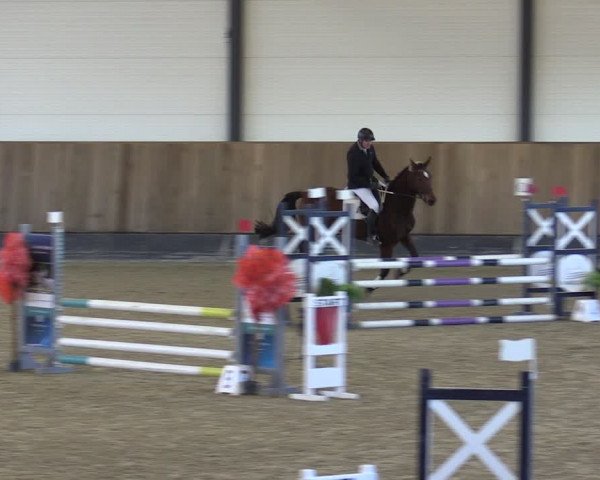 Reitturnier Zwickau 2024