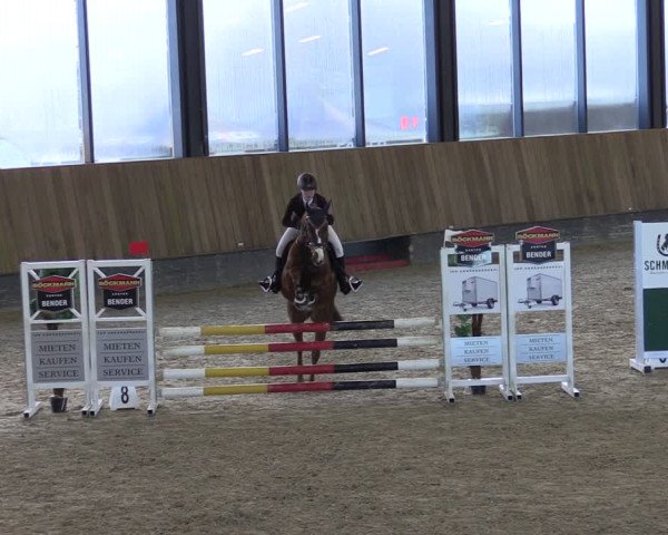 Reitturnier Zwickau 2024