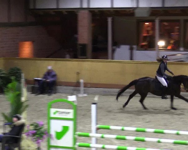 Reitturnier Hamburg-Friedrichshulde/Sylva Kuhrt 2024