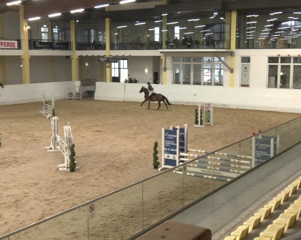 Reitturnier Stadl-Paura 2024